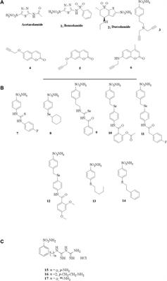 Carbonic anhydrase, its inhibitors and vascular function